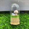 Exposição do vidro da paisagem do cogumelo micro uma variedade de materiais opcionais