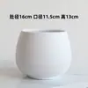 Vaso de Flores Celebre Cibernético Cerâmica Liquidação Grande Médio Doméstico Rosa Verde Planta Verde Suculenta Vaso Branco Phalaenopsis Atacado TEMU