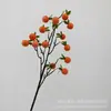 Fruta Artificial Decoración del Hogar Accesorios para Fotografía Planta Artificial Ingeniería Decoración Suave Decoración de Año Nuevo Flores de Nochevieja