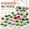 Más de 100 Tipos de Combinaciones de Plantas Suculentas Mini de Plástico Simuladas en Maceta, Mini Bonsáis Suculentos Más Vendidos Transfronterizos, Decoración para el Hogar, Adornos Creativos