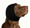 2026 Nueva Capucha Calmante para Perros Anti-Miedo Anti-Truenos Impermeable de Verano para Nadar Cubiertas Impermeables para Orejas de Perro