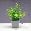 Venda quente transfronteiriça Simulação de planta Planta falsa Planta verde Decoração interna e externa Simulação de eucalipto em vaso de plástico Planta pequena em vaso