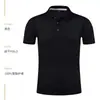 Algodão de Seda de Gelo Roupa de Trabalho Manga Curta Gola Lapela Camiseta Verão Grupo Empresarial Construção de Equipe Cultura Camisa Polo Roupa de Trabalho Impressão de Logotipo Formulação
