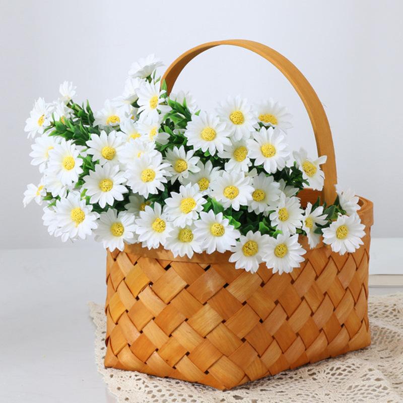 小把花邹菊0