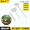 Etiquetas de Identificación para Accesorios de Macetas, Etiquetas para Plantas, Etiquetas para Plantas en Maceta, Macetas Verdes para Plantas, Etiquetas Escribibles, Aspersores para Flores