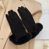 Luvas quentes de outono e inverno, luvas femininas de temperamento simples, luvas de condução transfronteiriças, luvas de veludo com revestimento em estilo coreano para mulheres