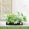 Combinación de paisajismo con plantas verdes artificiales, jardineras, maceteros, decoraciones de flores artificiales, decoración de paisaje con plantas artificiales para escaparates de centros comerciales, interior y exterior