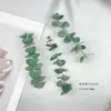 Flores Secas Naturales Flores de Acacia Flores de Mariposa Conservadas Hojas de Eucalipto Manzana Aroma Verde Incienso Hoja de Jade Material de Hoja Hecho a Mano DIY Fruta