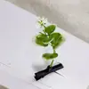 Grampos de Cabelo de Grama Pequenos, Presilhas de Cabelo de Broto de Feijão, Grampos de Cabelo de Flores e Frutas, Acessórios de Um Yuan, Acessórios de Cabeça de Barraca de Mercado Noturno, Acessórios de Atrações Turísticas