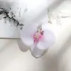 Y Flor de Orquídea Mariposa Cabeza de Flor Artificial Pared de Flores Accesorios Materiales Florales DIY Hecho a Mano Decoración de Boda Pétalos de Flor Pasador Materiales para Tocados