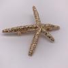 Accesorios para el cabello de aleación metálica estilo europeo y americano pluma estrella de mar pinza superior pinza para coleta pinza lateral pinza para flequillo pinza para el cabello tocado joyería mujeres
