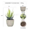 Planta en Maceta Artificial Mini Transfronteriza Hecha a Medida Adornos de Escritorio Bonsái Suculento de Simulación Flor Artificial Planta Verde Pulpa Suculenta Planta en Maceta