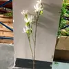 Combinación de Flores Artificiales Blancas Magnolia Phalaenopsis Rosa Diente de León Decoración Escénica de Boda Material de Flor Artificial Fabricante
