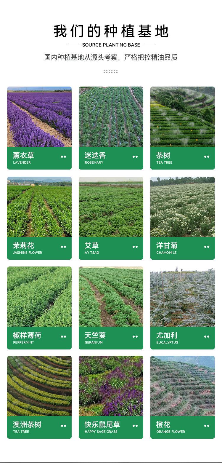 单方精油详情页_薰衣草精油_04.jpg