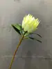 Simulación Estampado Único Flor Imperial Grande Flor Dominante Nórdico Simple Decoración del Hogar Adornos Estampado Pastoral Flor de Princesa