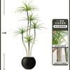 Planta Verde de Simulación Madera Milenaria Planta Falsa Lujo Ligero de Gama Alta Decoración de Interiores Árbol Sala de Estar Grande en Maceta Adornos de Piso