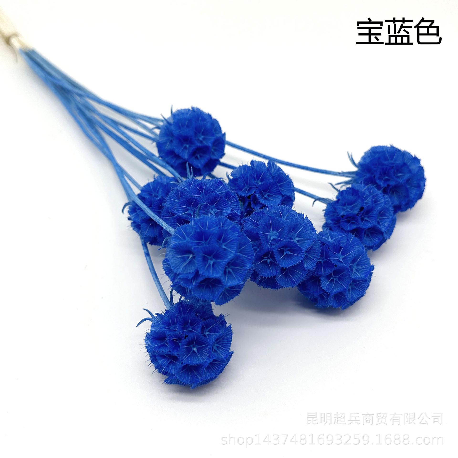 15宝蓝色.jpg