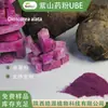Pó de Ube Orgânico Pó de Ube Pó de Inhame Roxo Pó de Batata Ginseng Extrato de Inhame Roxo 100 Gramas