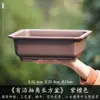Vaso de Flor de Resina Retangular Pequeno para Uso Doméstico, Cerâmica Imitação de Areia Roxa, Adequado para Plantas Verdes, Bonsai de Figueira, Atacado