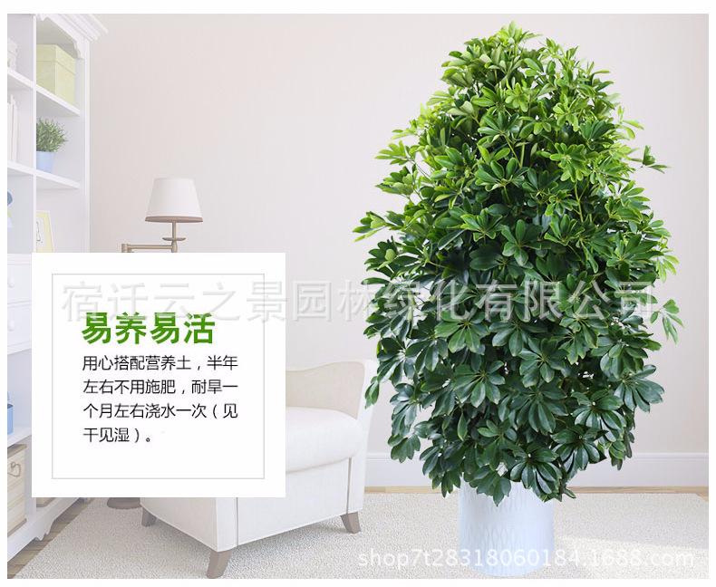 鍏柟鏉ヨ储璇︾粏12