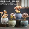 Novo estilo vaso de flor suculenta vaso de cerâmica de pilha antiga calibre grande e pequeno vaso de flor suculenta retrô personalidade criativa simples vaso de flor de grés