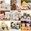 Muñeco de peluche boutique de ocho pulgadas, muñeco para máquina de garras, anillo de alfombra, regalo para boda, muñeco para lanzar, regalo de cumpleaños