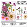 Novo Pacote de Material DIY Artesanal em Relevo Maquiagem Estilização Foto Pessoal Maquiagem Facial Flores Secas Espécimes de Plantas em Relevo