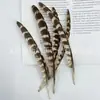 Ninho de galinha direto da fábrica pena de ninho de frango pena de ninho de faisão macho pena de ninho de faisão natural faisão DIY decoração de pena colorida