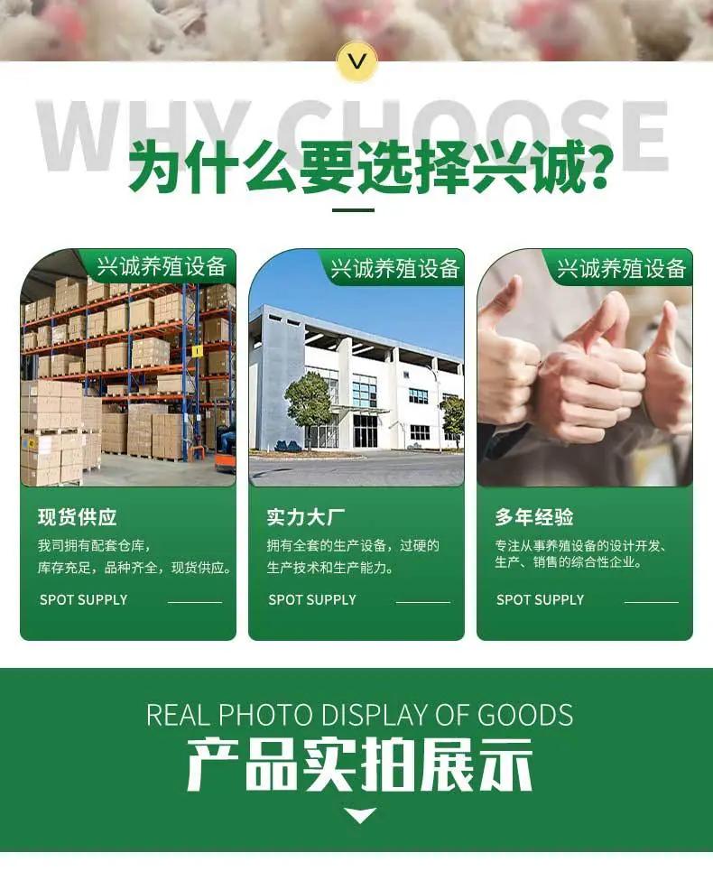 套版_02.jpg