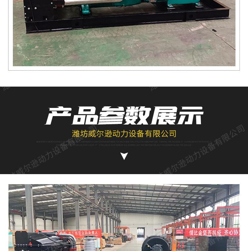 潍柴250千瓦发电机组_10.jpg