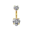 Piercing de Umbigo Anel para Umbigo em Aço Inoxidável com Zircônia Inlaid em Formato de Coração Redondo com Rosca Interna - Venda Quente de E-commerce Transfronteiriço