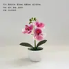Adornos Creativos de Orquídea Phalaenopsis en Maceta, Productos Domésticos de Moda, Flores Simuladas, Películas Ecológicas, Plantas Verdes, Plantas en Maceta, Flores Artificiales al por Mayor