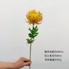 Flores Artificiales de Sudáfrica tipo Cojín de Aguja, Crisantemos Fuegos Artificiales, Flores para Techo de Boda, Decoración del Hogar, Crisantemos Llama, Exclusivo Transfronterizo de Amazon