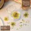 Arte de uñas estilo japonés Ins, flores secas, Monet, pintura al óleo de jardín, combinación de colores, flores pequeñas, flores mixtas, material DIY, joyería para uñas