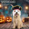 Suministrado directamente por el fabricante: Disfraz de pirata para mascota de Halloween, sombrero con decoración de plumas, sombrero de pirata con calavera y set de máscara con bigote
