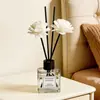 Venta Directa de Fábrica de Varios Estilos de Productos de Aromaterapia para Uso Doméstico, Fragancia de Larga Duración, Aromaterapia sin Llama para Dormitorios, Baños y Oficinas
