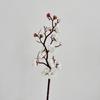 Simulación ramas de flor de ciruelo flor de membrillo de invierno flor de plástico ramo falso decoración china para el hogar decoración de jarrón para sala de estar venta al por mayor de fábrica