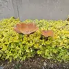 Alimentador de Pájaros para Exteriores Amazon Transfronterizo, Bebedero para Pájaros, Comedero para Pájaros de Jardín, Decoración Vintage para Césped