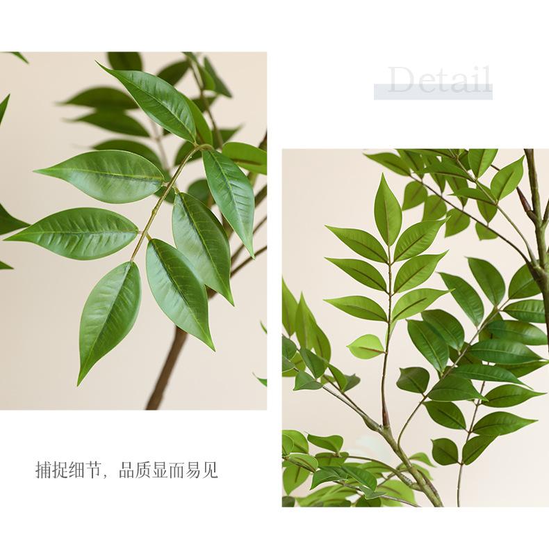 南天竹-漆木_09.jpg
