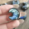 Labradorita natural de alto brillo pequeña margarita girasol Ankh pieza tallada piedra en bruto piedra lunar accesorio DIY colgante