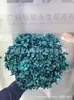 [Niebla Natural Hortensia] Flor Eterna Flor Seca Hortensia Anna Hortensia Lobular Material para Boda DIY Venta al por Mayor