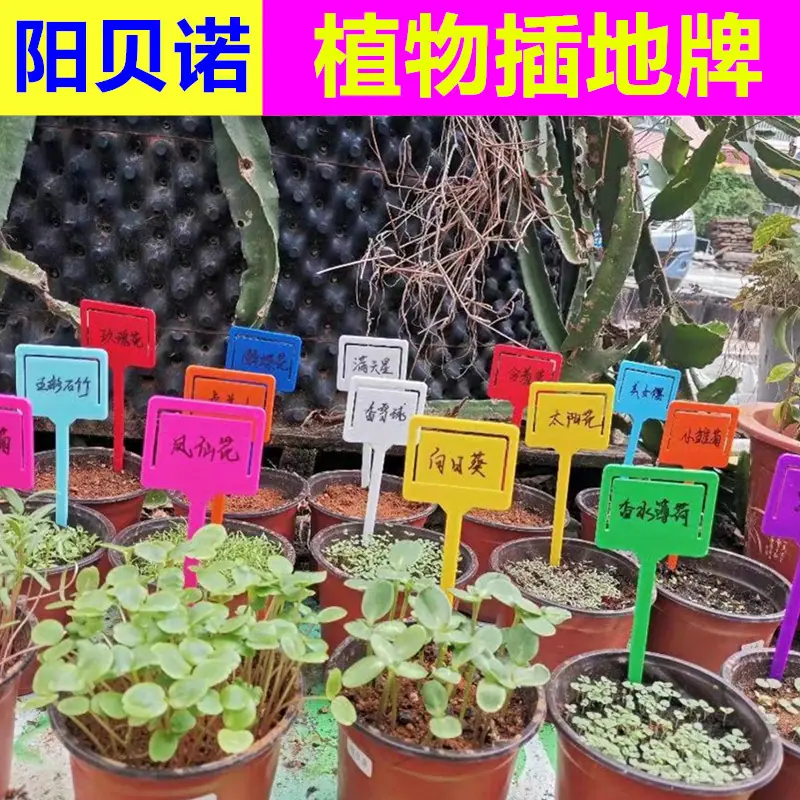 支架主图801.jpg