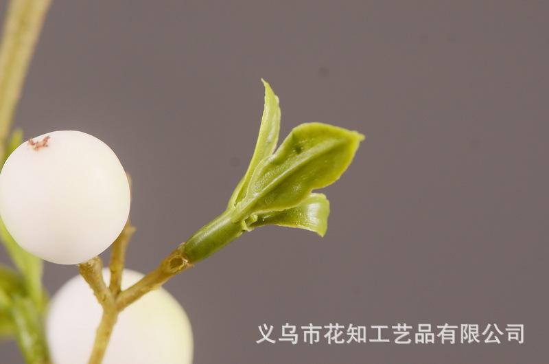 2-9白色安迪小白果.jpg