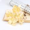 Flor Artificial Borda Queimada Hortênsia DIY Cor Doce Flor Artificial Produção Parede de Flores Material para Arranjo de Casamento Acessórios para Fotografia