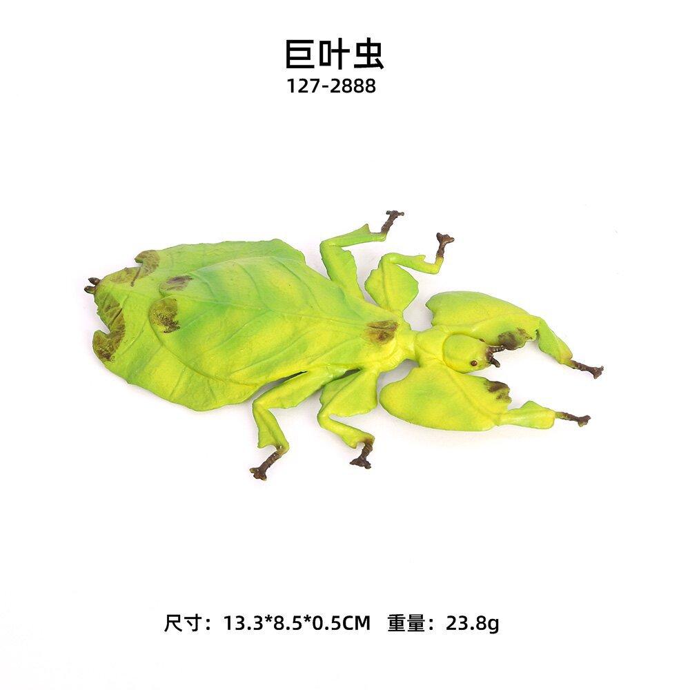 尺寸