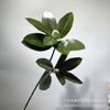 Hoja de magnolia artificial 3D2 horquilla con fruto Rama de magnolia decoración suave para el hogar decoración de arreglo floral para boda planta verde de jardinería artificial