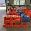 Guincho elétrico de raspador de tambor duplo à prova de explosão para equipamentos de raspagem de mineração guincho de raspagem de mineração