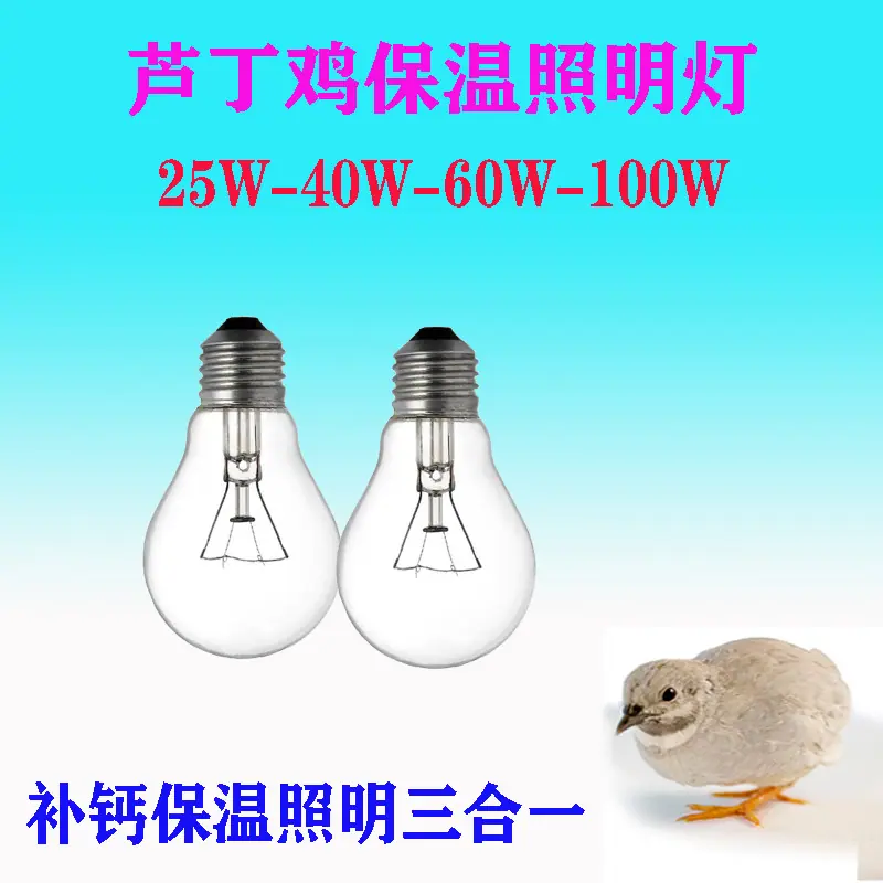 芦丁鸡保温照明灯