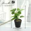 Simulação de flor falsa planta folha bonsai criativo pequenos ornamentos simulação de fornecimento direto da fábrica de flores simulação planta em vaso uma geração de cabelo