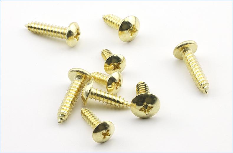 金色TA十字大扁头自攻螺丝 (2).jpg
